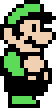 Luigi Smb3